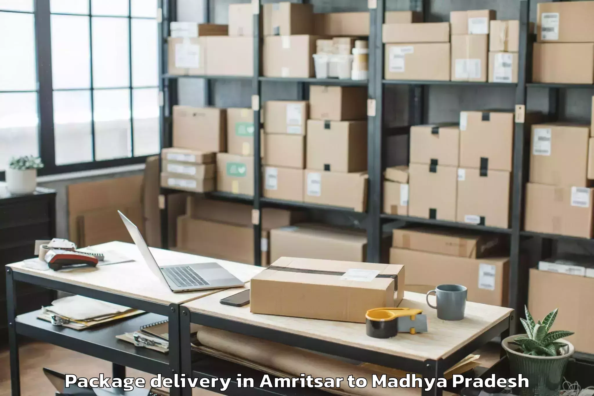 Amritsar to Mandsaur University Mandsaur Package Delivery Booking